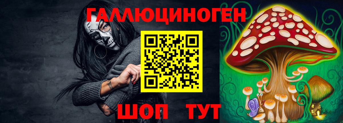 Борзя  Псилоцибиновые грибы Cubensis  Вход с VPN 