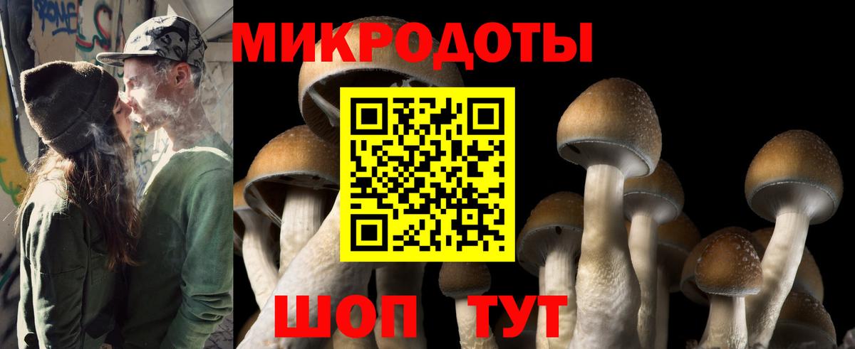 Галлюциногенные грибы Psilocybe Борзя